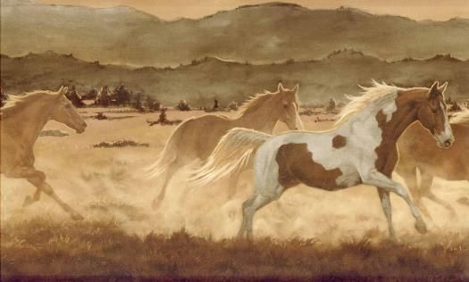 wild mustang essays wild mustang essays