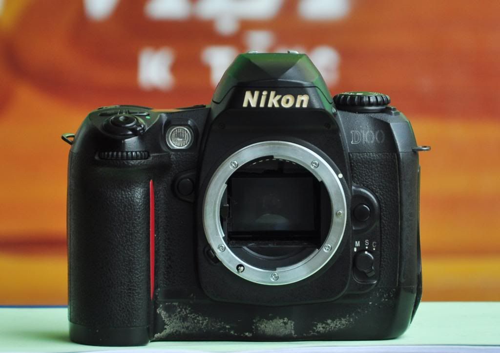 NikonD100-2_zps7c6dcddf.jpg