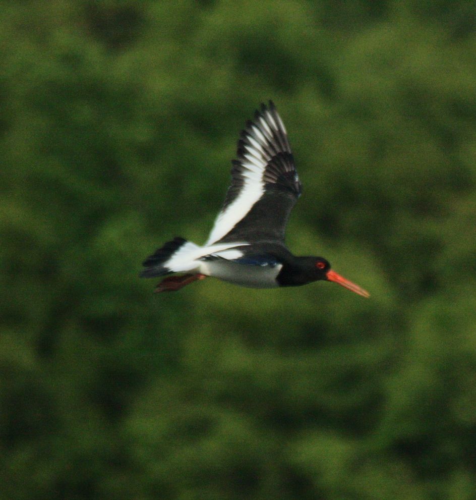 0616e93c7642ce46189f8e015ca2eb33_zps356c