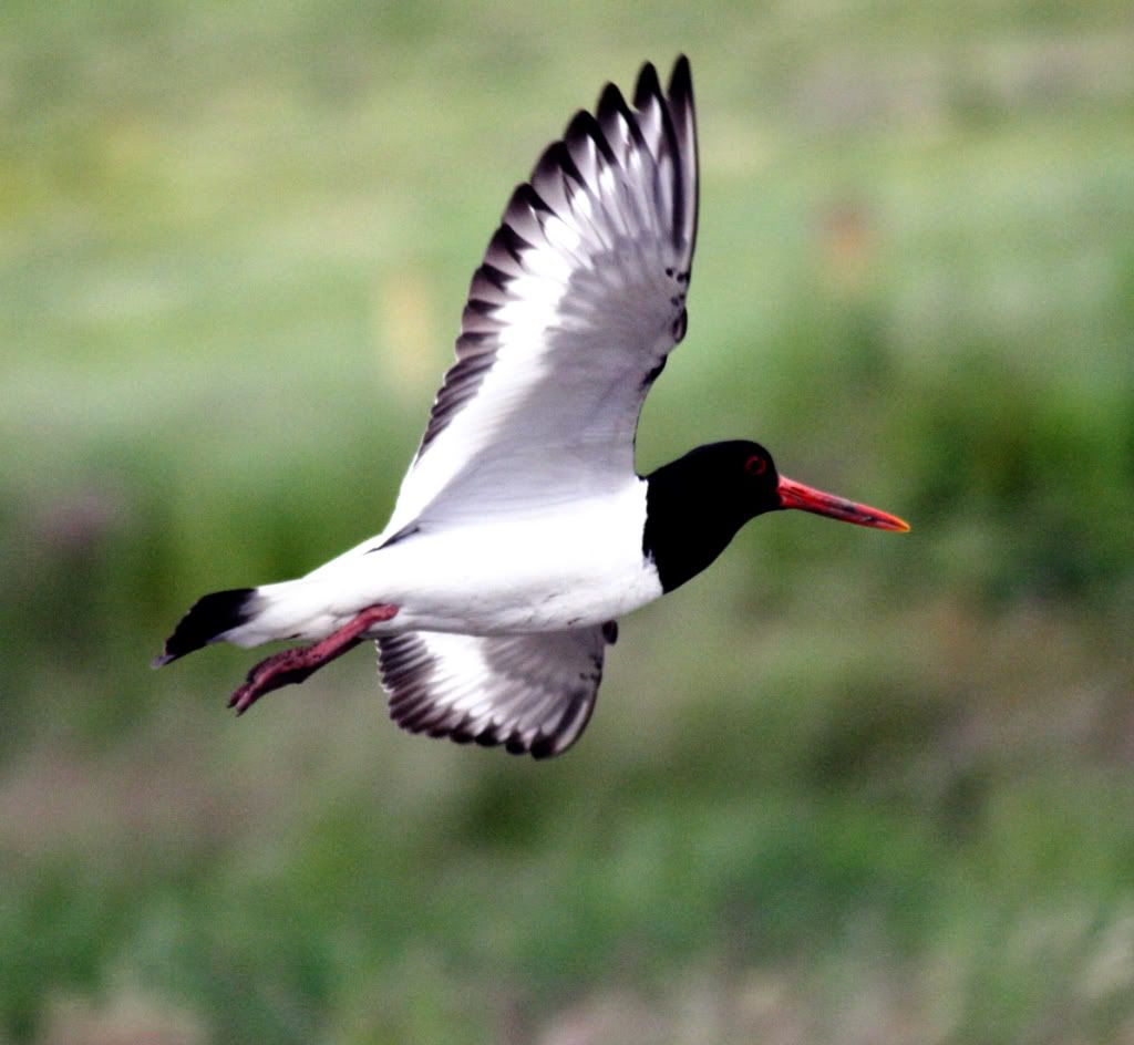 12f931c609b0294df7e2a36e27b1754b_zpsef86