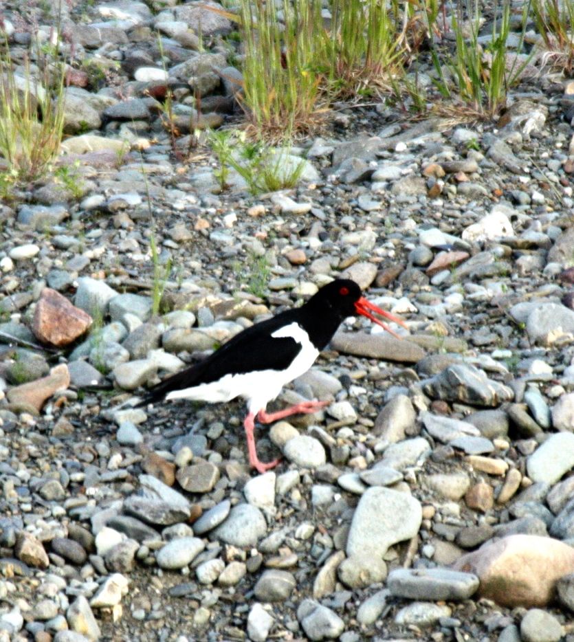 2fc532130836d5274f167648b34f08c0_zps8dff