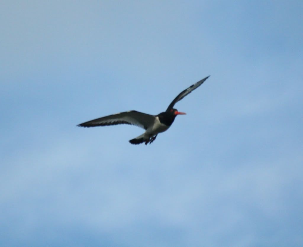 5157c28932ac9d31e87e4aad060998ab_zpsabf4