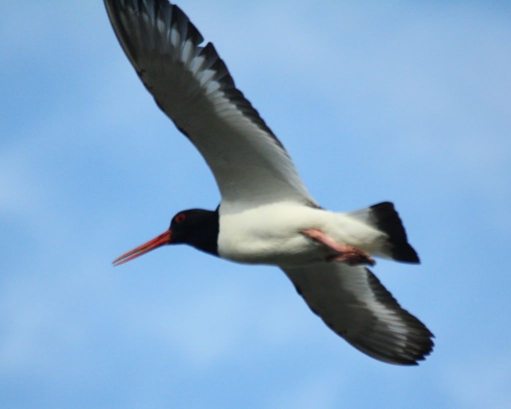 525ef3276352e668e858579863248f71_zpsb5e4