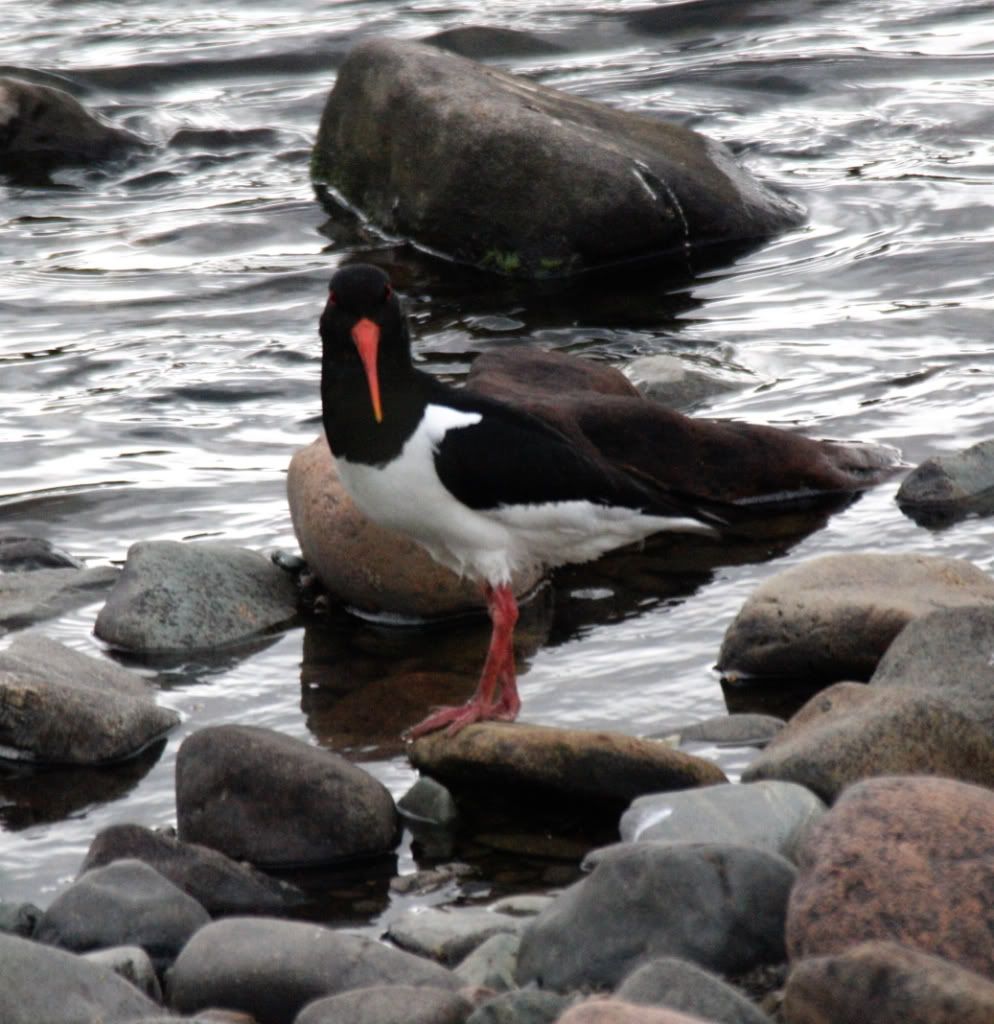 658f1c7c826ee60ac48789fbe970eb24_zpsaeb5