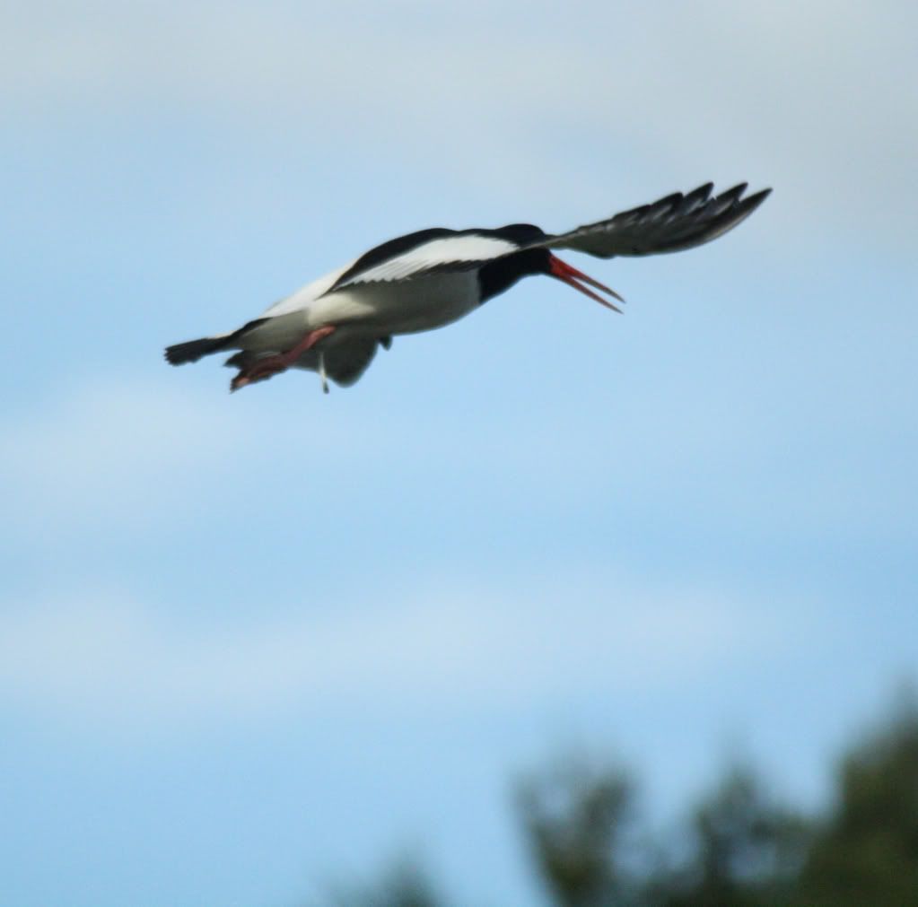 8943e992c673621c963822b55c0ae6c5_zps1a6c