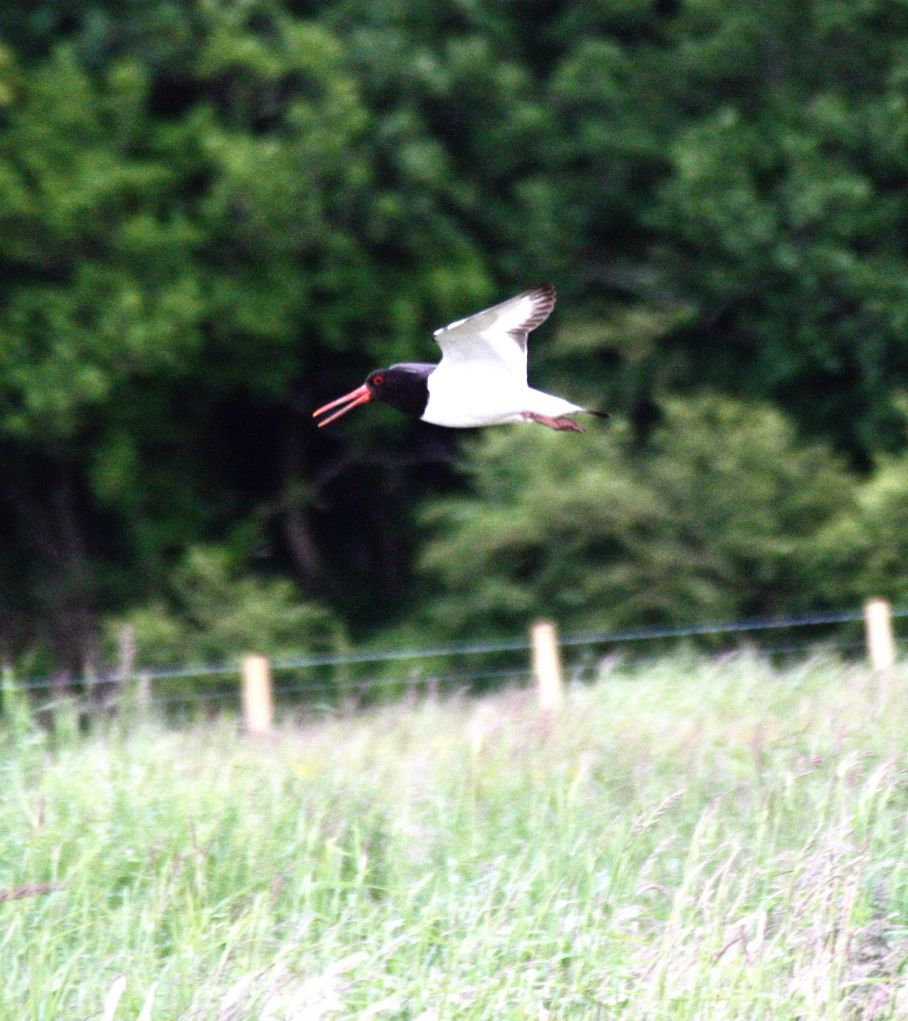 ec7dbe9bfd29780a82eb79daa6cff7b4_zpsfe41