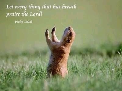  photo leteverythingthathasbreathpraisethelordpsalm150_6_zpsc23eedf5.jpg