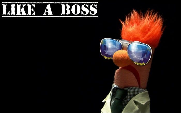  photo like-a-boss-700x437_zps8fdb24e0.jpg