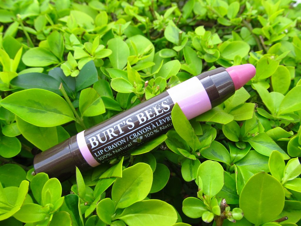 burt's bees lip crayon