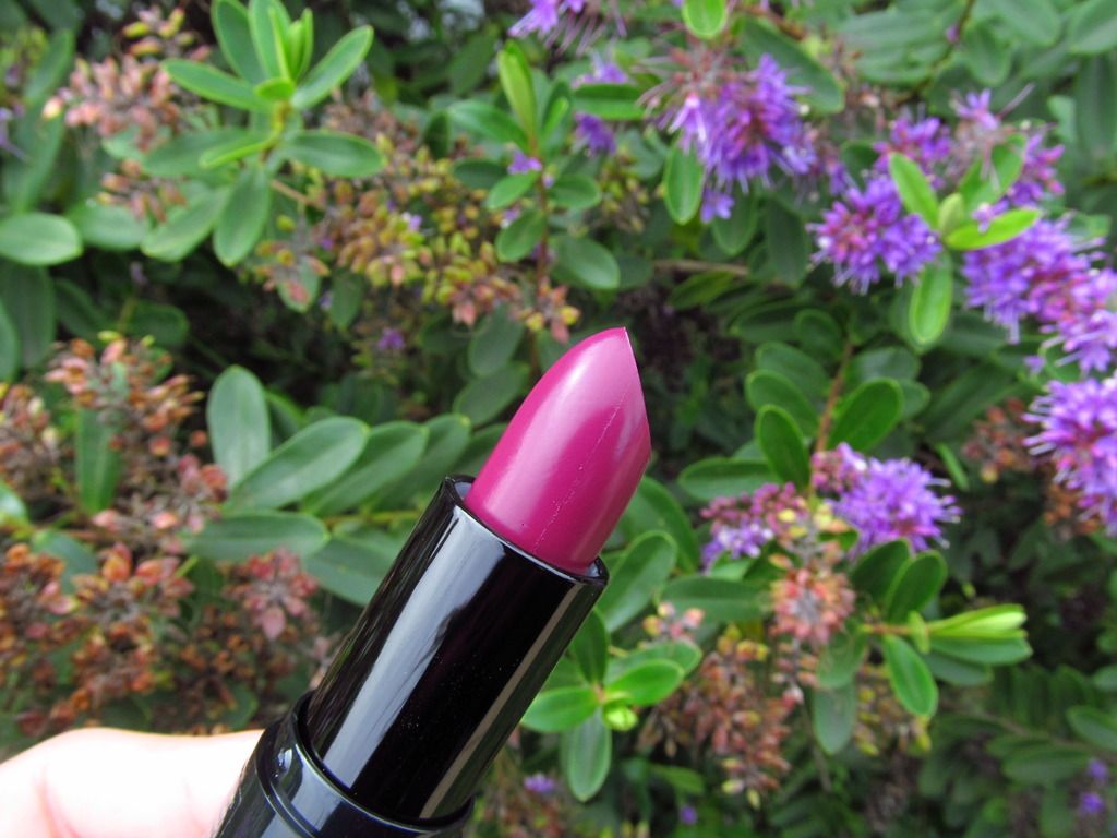 Plum Noir Petrizzio Plum Noir Petrizzio