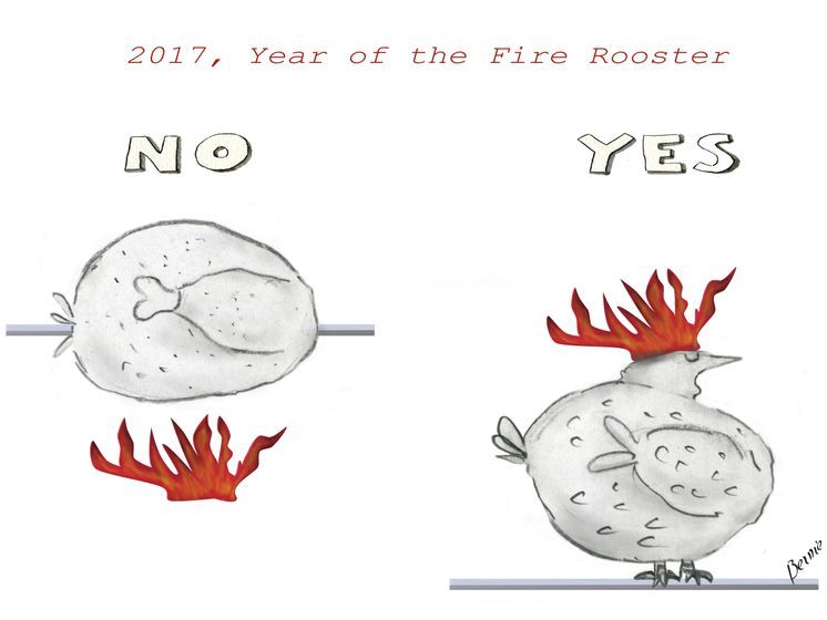 2017_year_of_the_fire_rooster__bernard_bouton_zpskbo3tqqe.jpeg