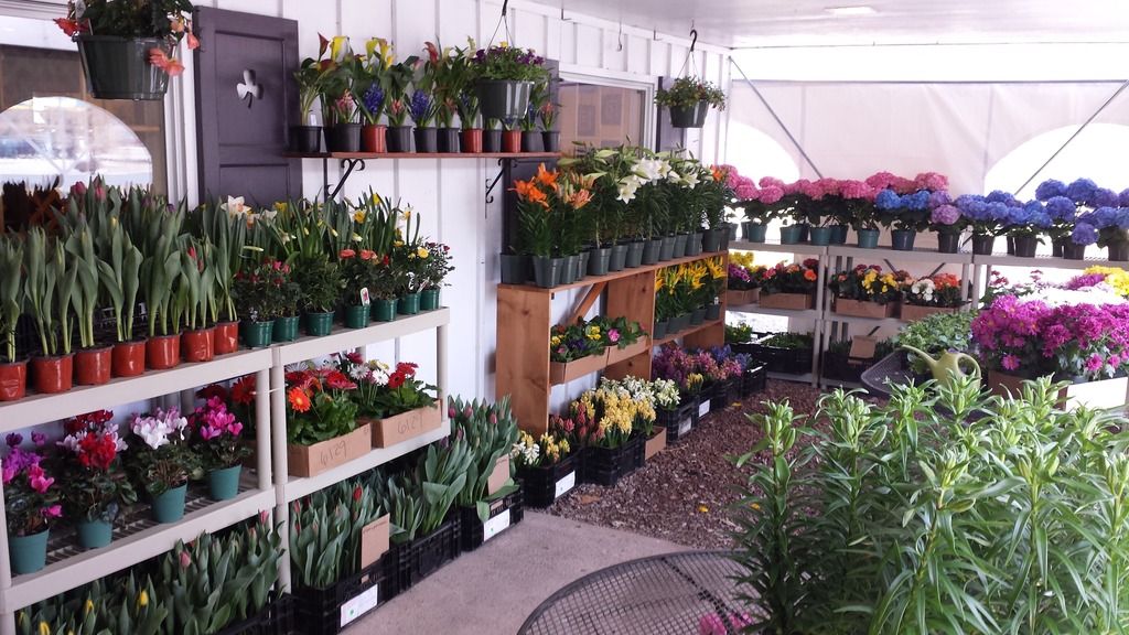 20150401_121712.jpg