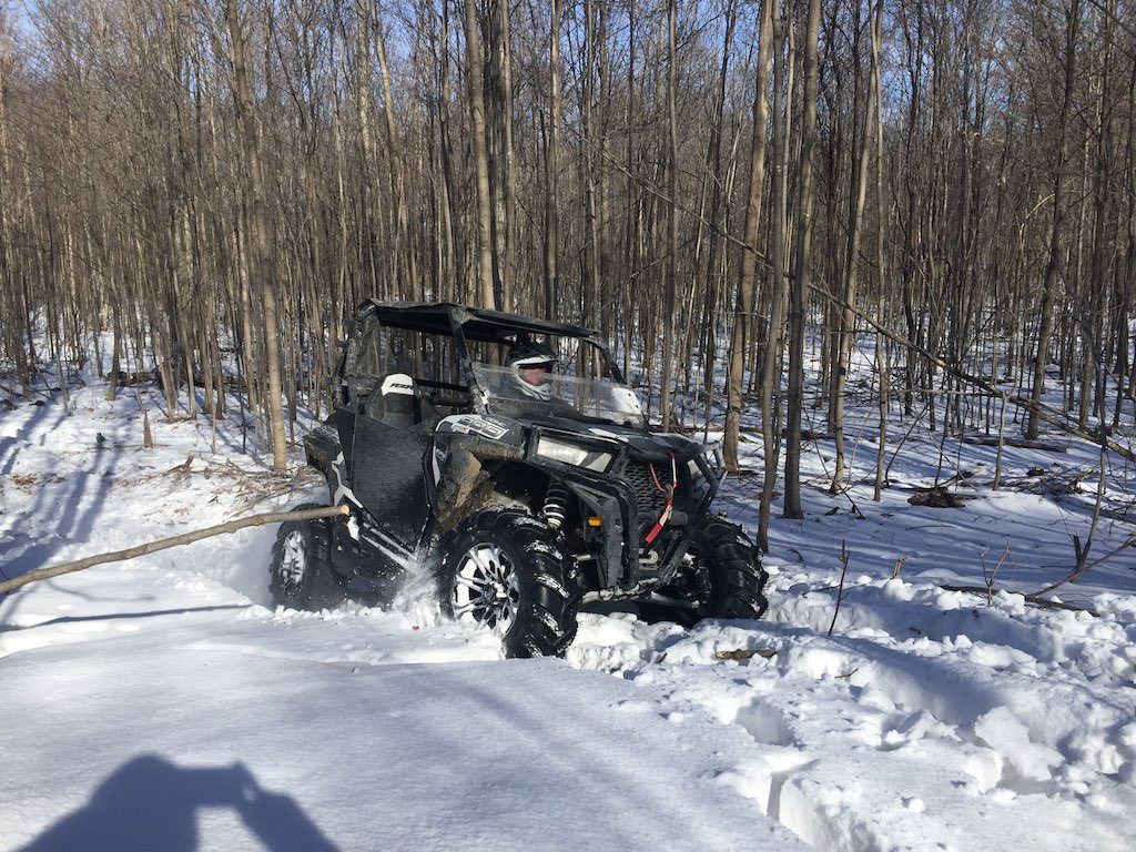 Area code 900 visual data 5