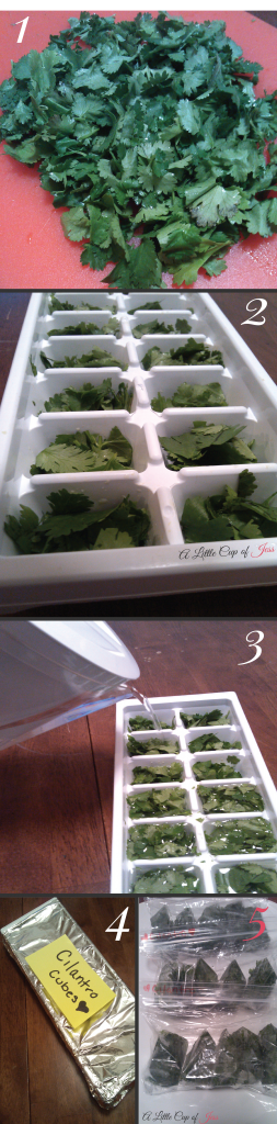 Cilantro Ice Cubes || A Little Cup of Jess