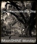 The Honeysuckle Bus Stop