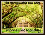 The Honeysuckle Bus Stop