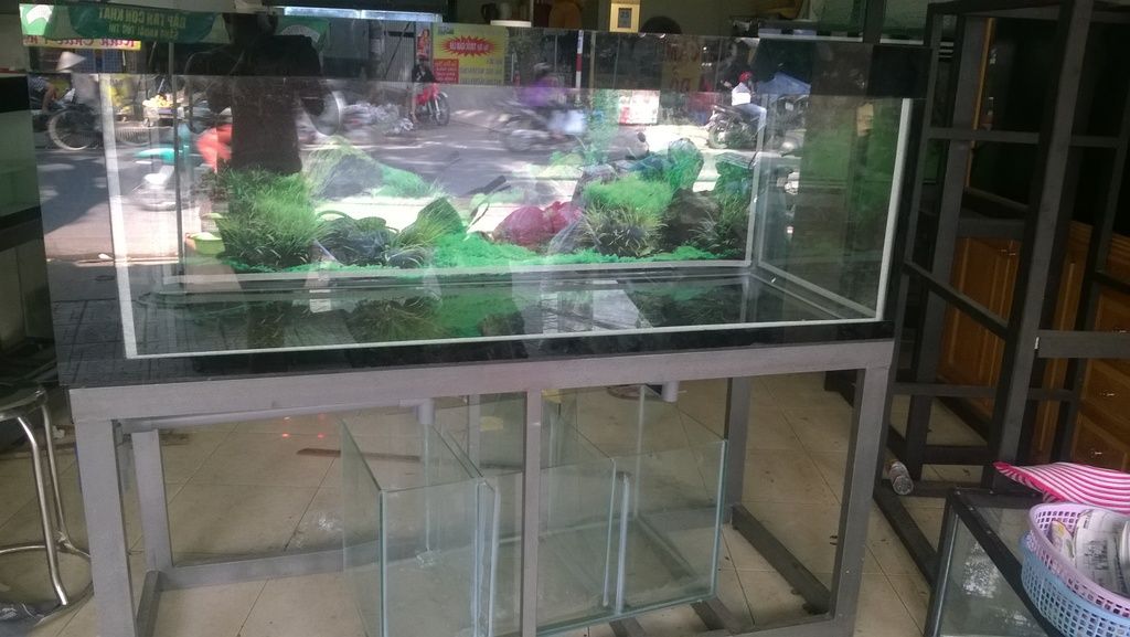 Thanh lý hồ cá 1m6 60 60 full 10ly cường lực mới 100%