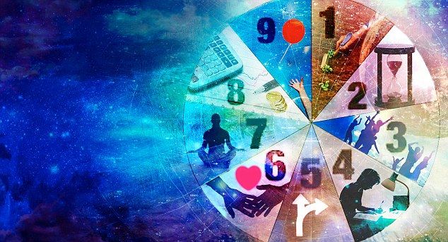 the numerologist
