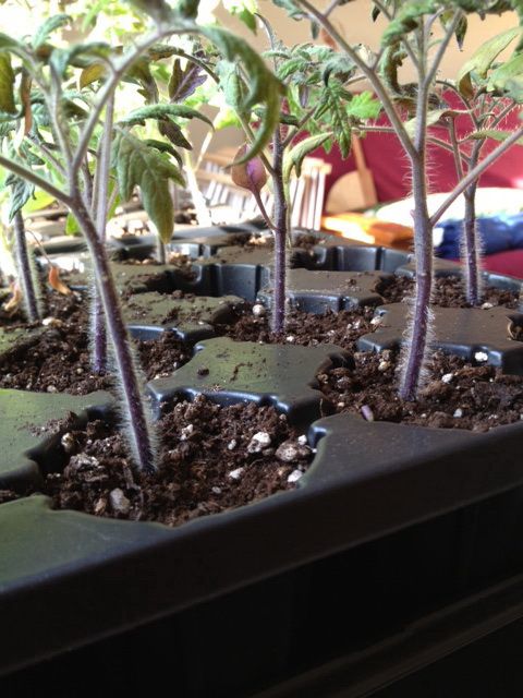  photo image6_zpsa7febfd3.jpeg