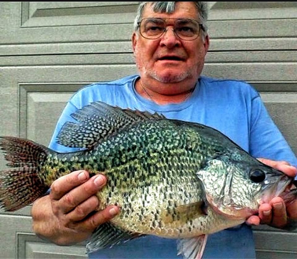 Huge Crappie  Ohio Game Fishing