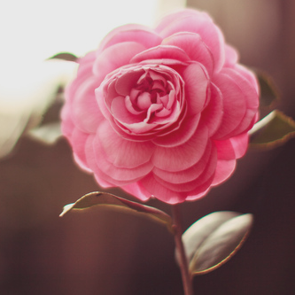 2014 2014 2014 10_zps61c7ccf7.png