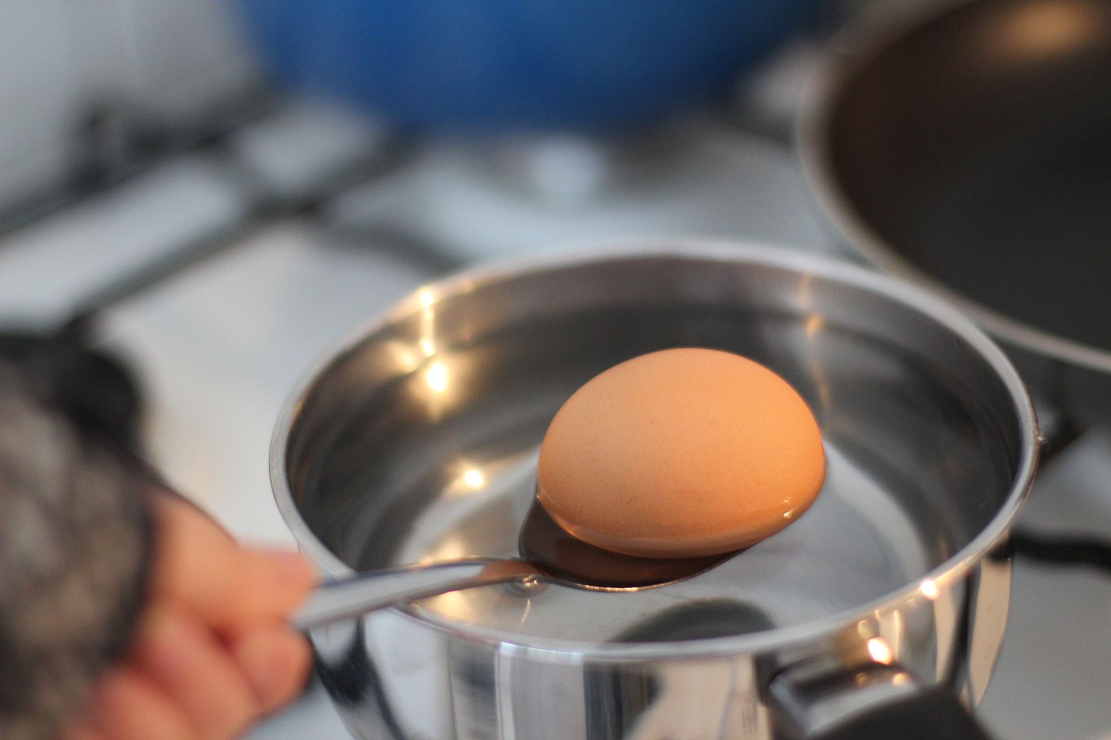 Hoe kook je een perfect ei?