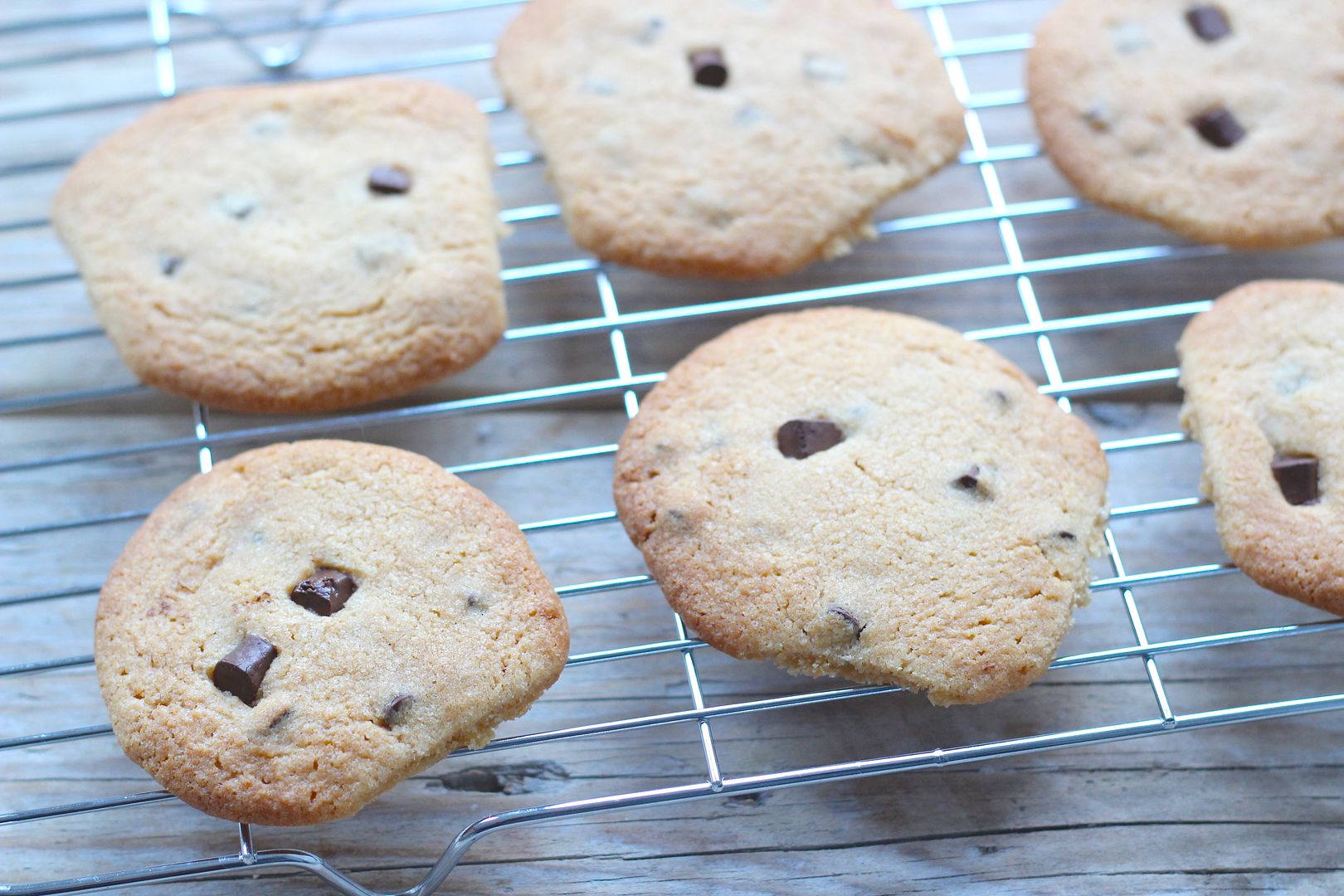  chocolate chip cookies