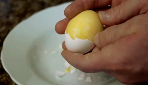  photo scrambled-hardboiled-eggs-diy_zps76620bd6.jpg
