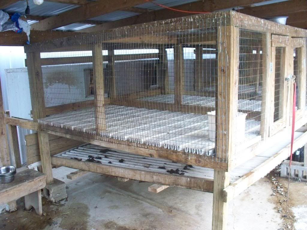 dog kennels built off the ground