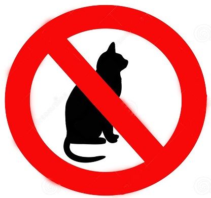no-cat-sign-10454417_zpsaa206567.jpg