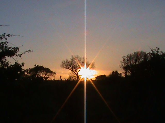 006_zps218e5972.jpg?902