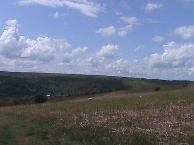 069_zpsa6b827d6.jpg?889