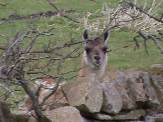 092_zps21443b30.jpg?512