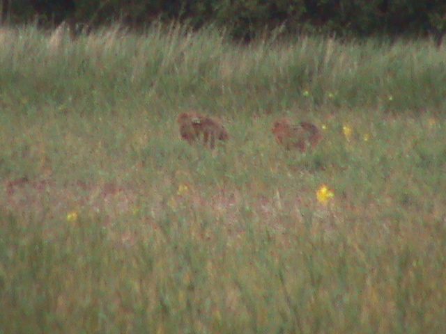 121_zps40998021.jpg?58