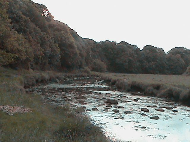 135_zpsa91b64af.jpg?115