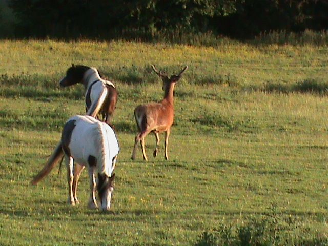 168_zps00b00275.jpg?90
