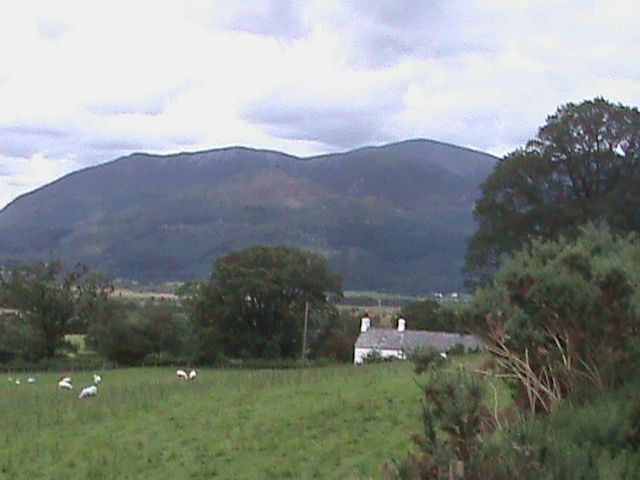 257_zps5182c96c.jpg