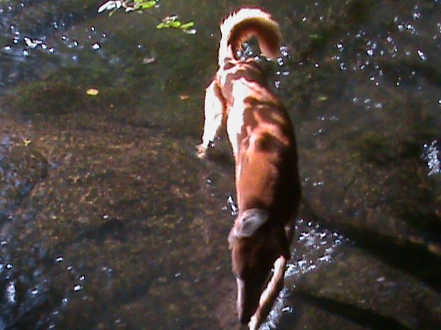 316_zps37f957f7.jpg
