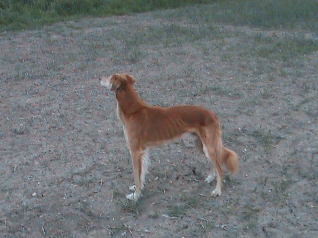 022_zpsfdf01f26.jpg?274