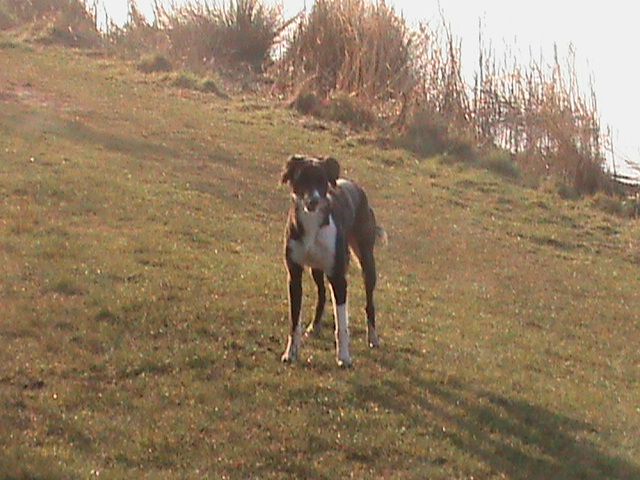 druridge%20bay%20008_zpsta0levcz.jpg?830