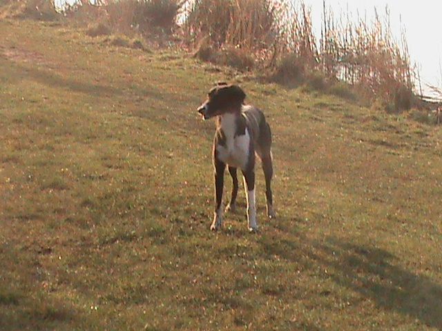 druridge%20bay%20012_zpsozdf30wp.jpg?783