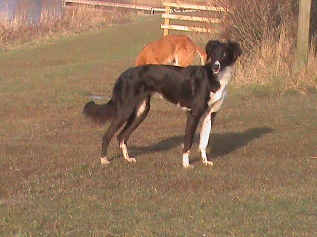 druridge%20bay%20020_zpslsycrpav.jpg?855