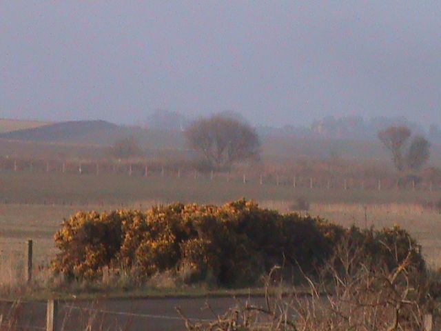 druridge%20bay%20054_zpsjgo5hwyv.jpg?526