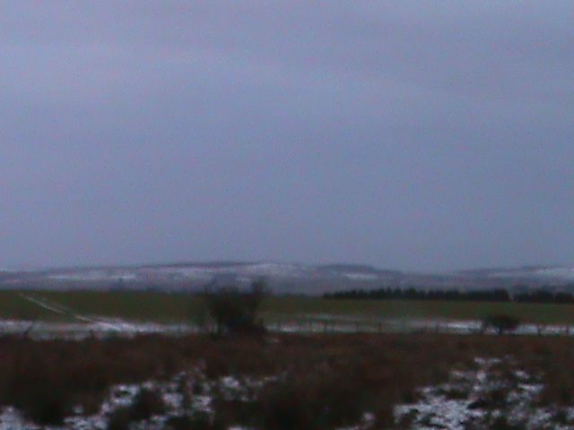 deery%20me%20016_zps2zb9hwid.jpg?684