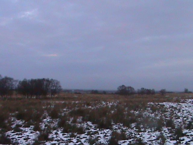 deery%20me%20017_zpsby7jiaij.jpg?682