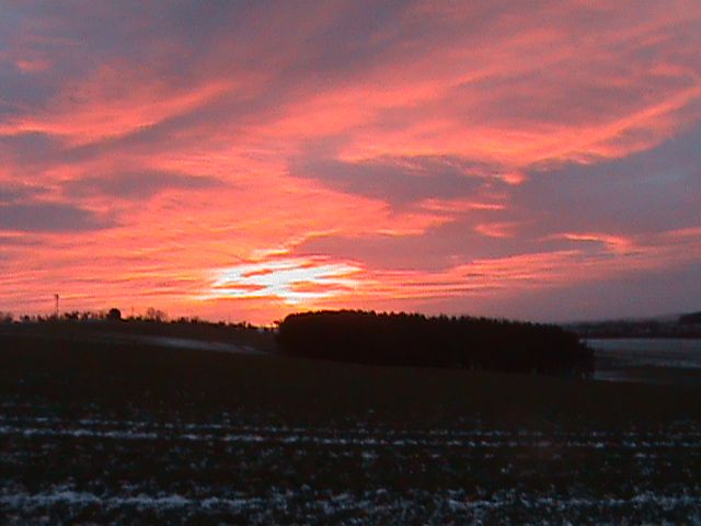 deery%20me%20021_zpsgeielnnr.jpg?723