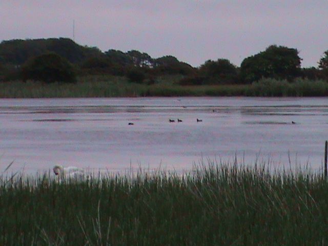 firstlight049_zps608c5310.jpg?859