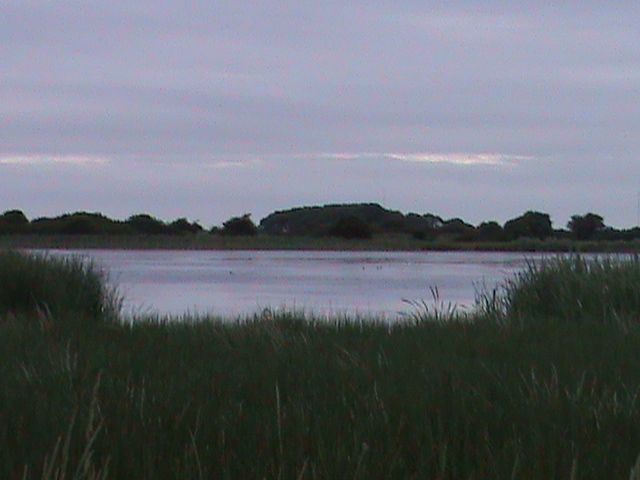 firstlight050_zps63114a5a.jpg?814