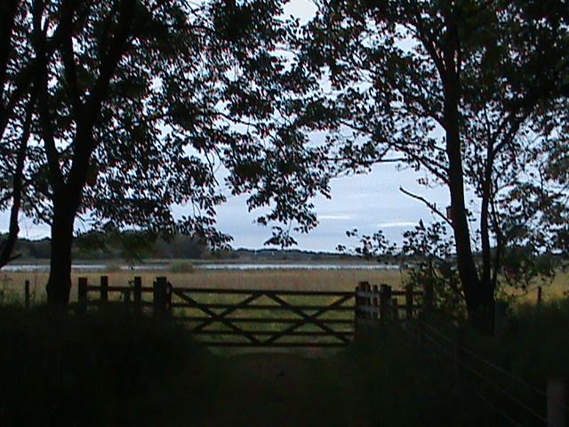 firstlight055_zpsfb274576.jpg?121