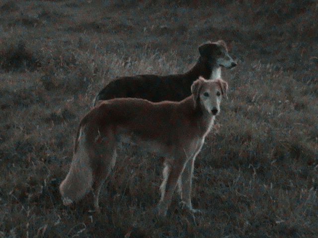 oldens028_zpsb39f5626.jpg?15